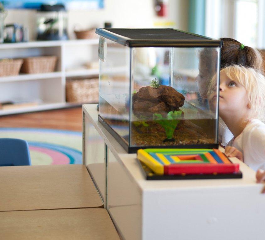 Shorecrest Prep School, St. Petersburg, Florida