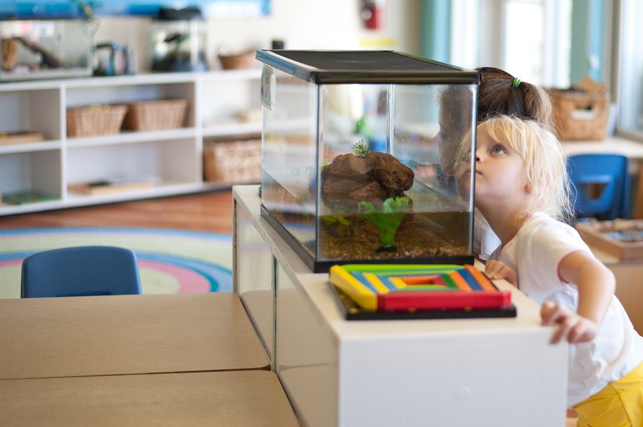 Shorecrest Prep School, St. Petersburg, Florida 1 School Building Design and Interior Design for Shorecrest Prep School, St. Petersburg, Florida by Fielding Nair International